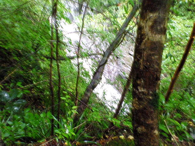 ���~�߂̑�