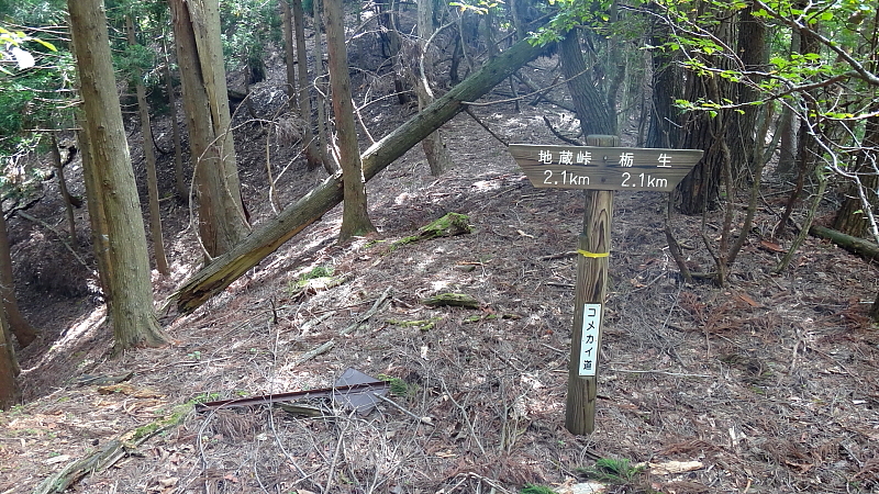 ホトラ山北尾根